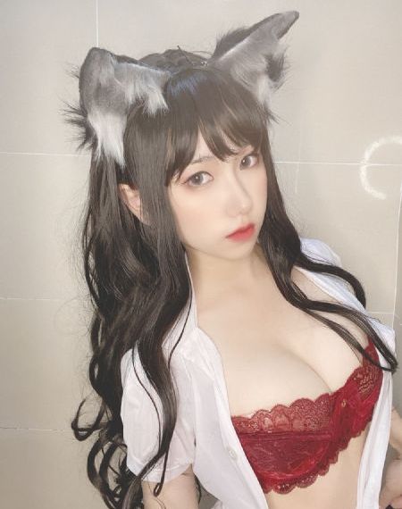 皓澜传