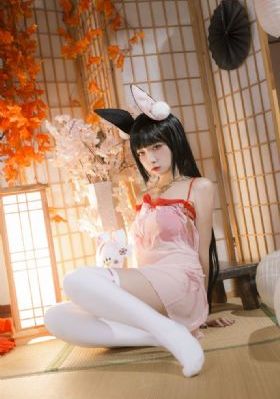转生剑姬