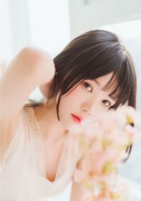 回复术
