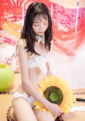 久久久久av69精品